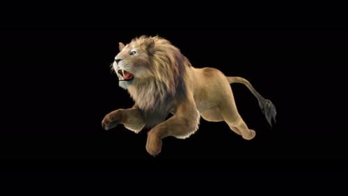 Lion Run