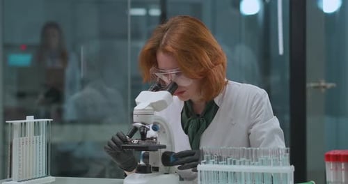 Female Professional Genetic Engineer Is Exploring Analysis in Laboratory, Looking in Microscope