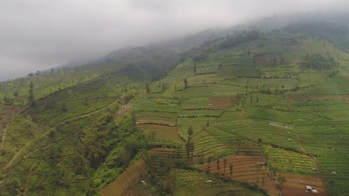Aerial View of Green Terraced Fields on Hills