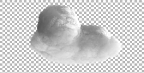 Tree and Sky Background Compositing Element