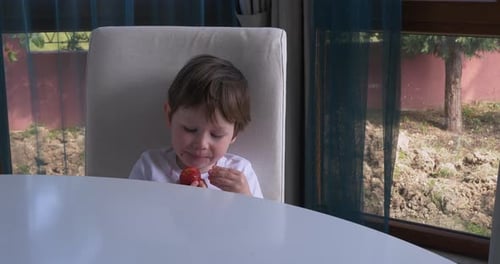 Child Eating Fruit While Sitting Indoors
