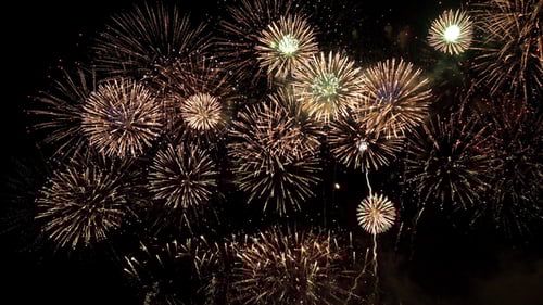 Fireworks Exploding in the Night Sky