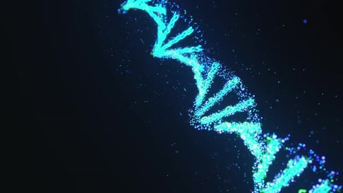DNA-Code