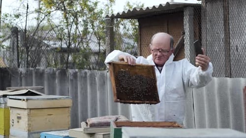 Beekeeping, Elderly Male Influencer in Protective Suit with Glasses for Sight Makes Video Blog for