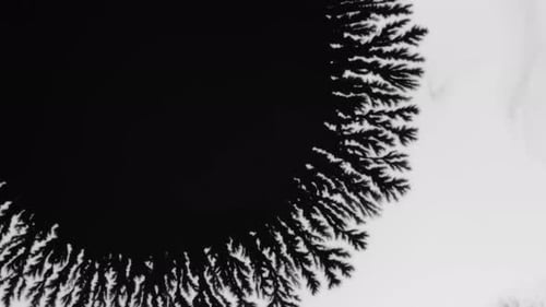 Crystal Germination