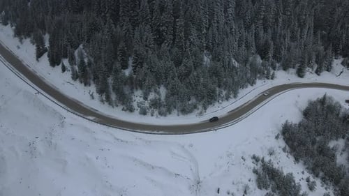 Sloping Forest Bend