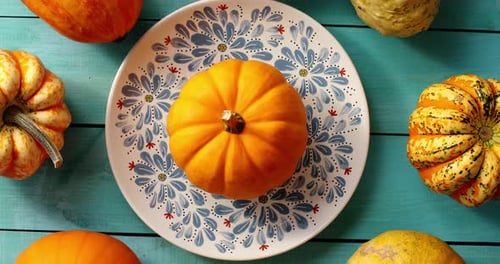 Vibrant Gourds and Pumpkin Overhead Shot