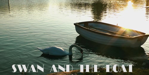 Schwan und Boot auf dem See