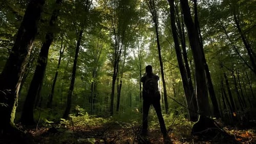 Man with Backpack Walking Through Tall Trees in Forest