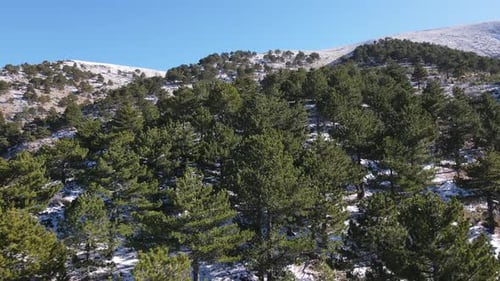 Snow Covered Mountain