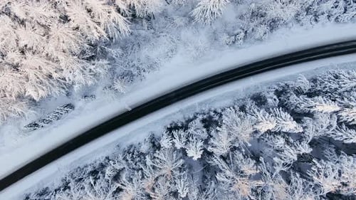 Empty Black Highway Across Tranquil Snowy Winter Forest
