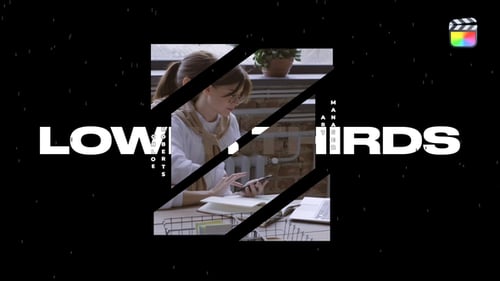 Dynamic Lower Thirds Title Animations for Professional Videos