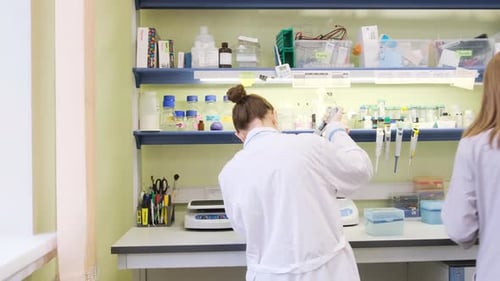 Two Scientists Working in Bright Laboratory Setting