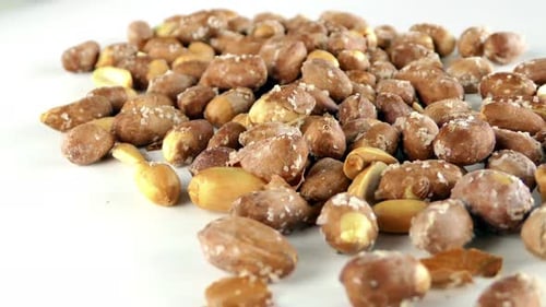 Peanut Macro Ansicht
