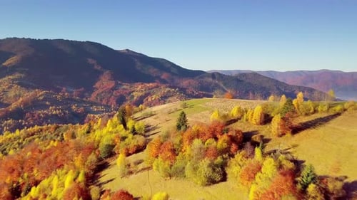 Wonderful Landscape From a Bird's Eye View