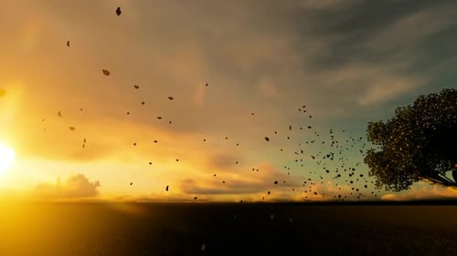 Autumn And Spilled Leaves