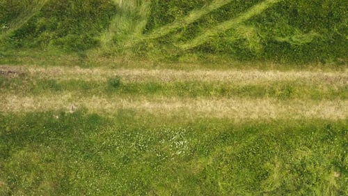 Tire Tracks On Lush Green Countryside Grass. Ascedingin Aerial Drone View.
