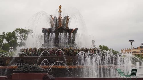 Fountain Stone Flower Moscow