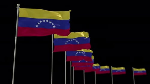 Animated Waving Flags of Venezuela