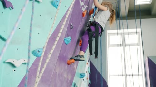 Little Girl Climbing Up Artificial Wall in Sports Center Concentrated on Extreme Activity