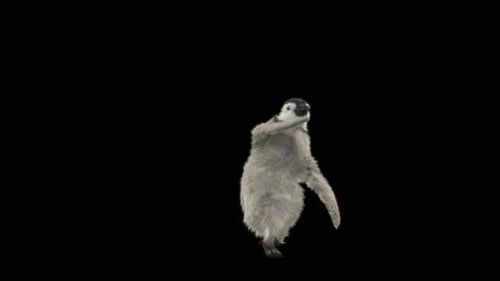 Pinguin tanzend HD