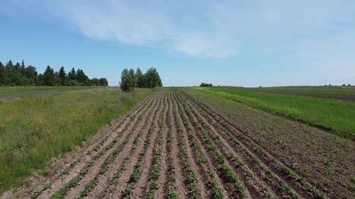 Aerial drone view of a flying over the rural agricultural landscape.