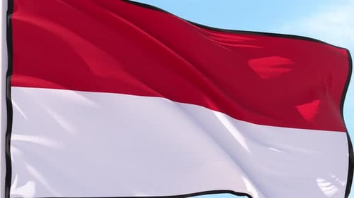 Waving Flag Animation for International Corporate Presentations