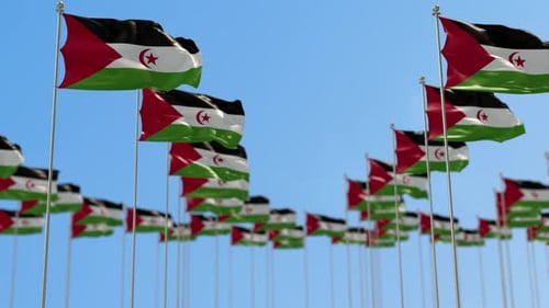 Western Sahara National Flags Waving Against Clear Blue Sky