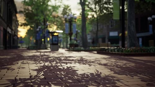 Quiet City Park with Trees and Benches