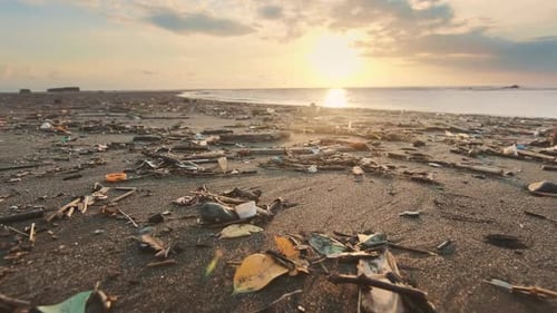 Dirty Sea Beach with Garbage and Plastic Bottles Harmful to Environment