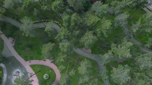 Kinder spielen im grünen Stadtpark, fahren Fahrrad, spielen auf dem Kinderspielplatz und haben Spaß
