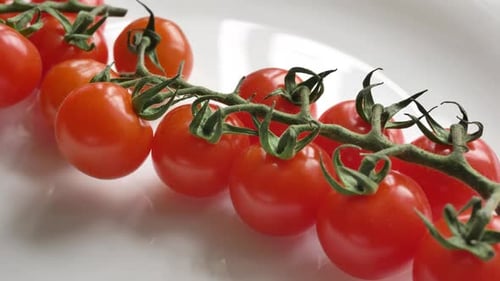 Motion Along Clean Frisch Rot Gewachsene Tomaten auf dem Ast