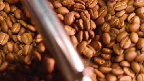 Coffee Beans Rotating in Roasting Machine Close Up