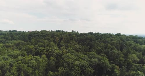 Über die schönen Waldbäume fliegen. Landschafts-Panorama.