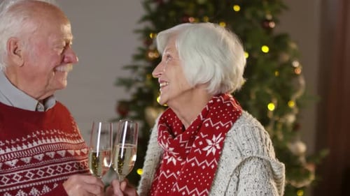 Senior Couple Celebrating Christmas Together at Home