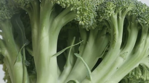 Extreme Close Up Shot of Broccoli