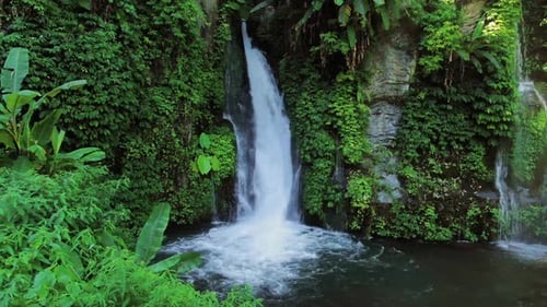 Waterfall Among Tropical Plants And Green Leaves In Bali, Indonesia.