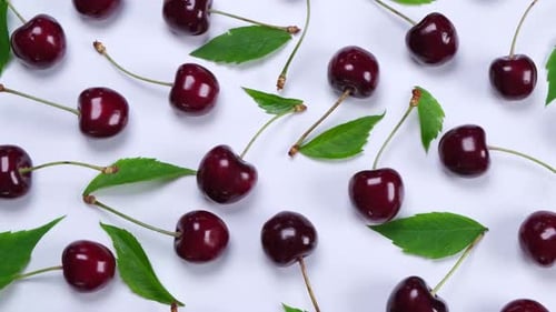 Background of Ripe Cherries with Water Drops on White Background with Green Leaves Closeup Top View