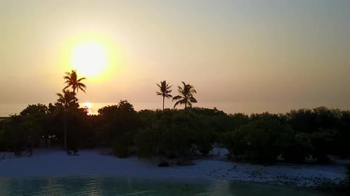 Drone aerial scenery of island beach wildlife by clear sea with sand background