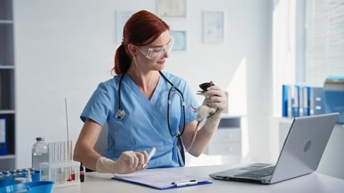 Animal Care Woman Veterinary Clinic Worker Examines Little Rat and Writes Readings Into Form While