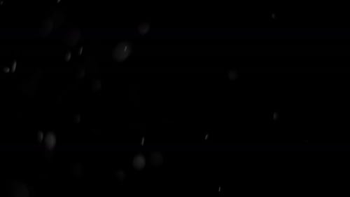 Sparkling Particles Shimmer on a Black Background