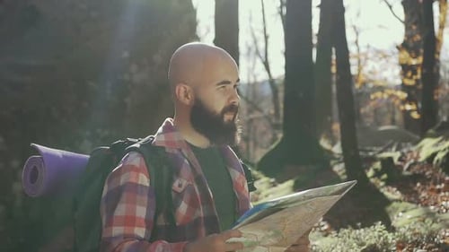 Man Looks at Map While Hiking in Forest