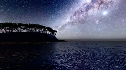 Palm trees and Milky Way
