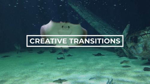 Creative Transitions