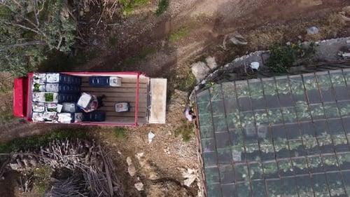 Greenhouse Workers Load the Products Truck