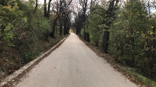 Straße, die durch die Allee führt 4K 2160p 30fps UltraHD-Aufnahmen - Waldstraße mit Bäumen 3840X2160 UH
