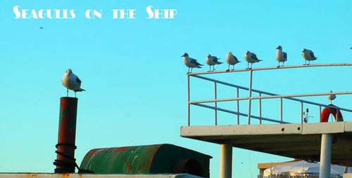 Seagulls Resting on Boat in Open Sky