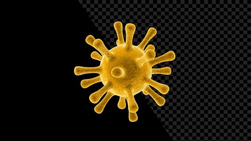 Covid 19 Corona Virus V5