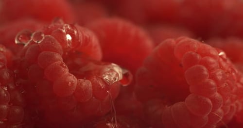 Water dripping onto raspberry in super slow motion. Shot on Phantom Flex 4K high speed camera.