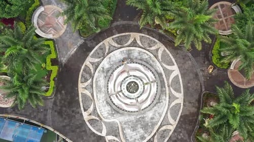 Top view of mosaic which shows a pattern of many lines and is surrounded by large palm trees